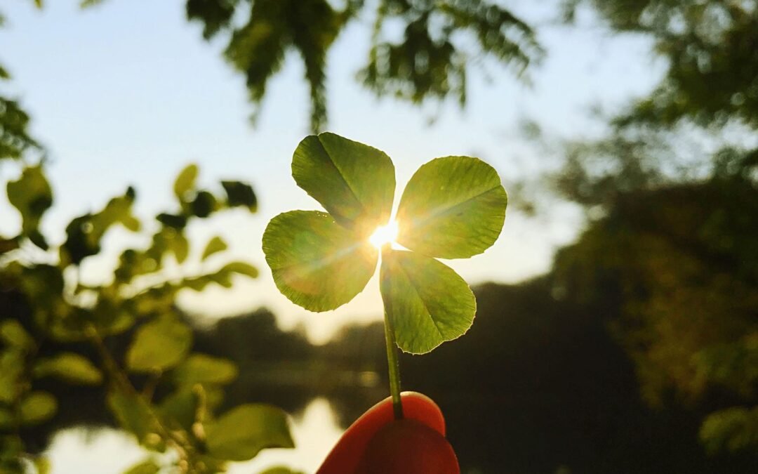 De Dag na de Borrel: Stoppen met alcohol