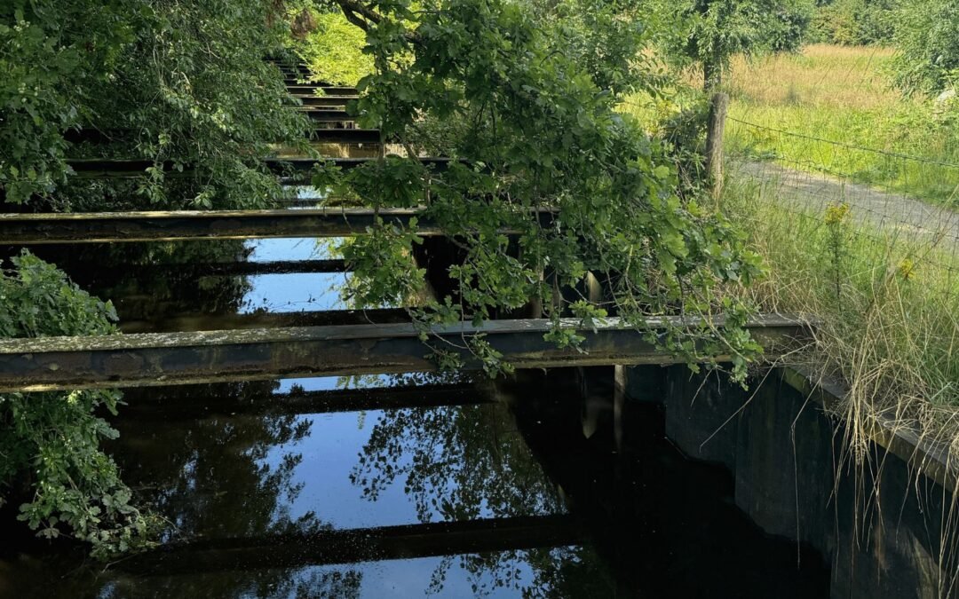 Kleine Stappen naar Mentaal Lekker in je Vel