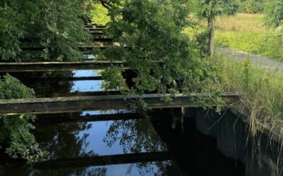 Kleine Stappen naar Mentaal Lekker in je Vel