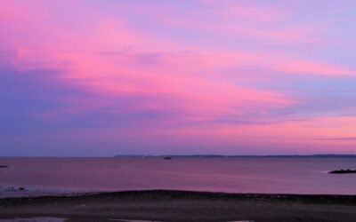 Mentaal Goed in Je Vel: Waarom Soms Praten Alleen Niet Genoeg Is