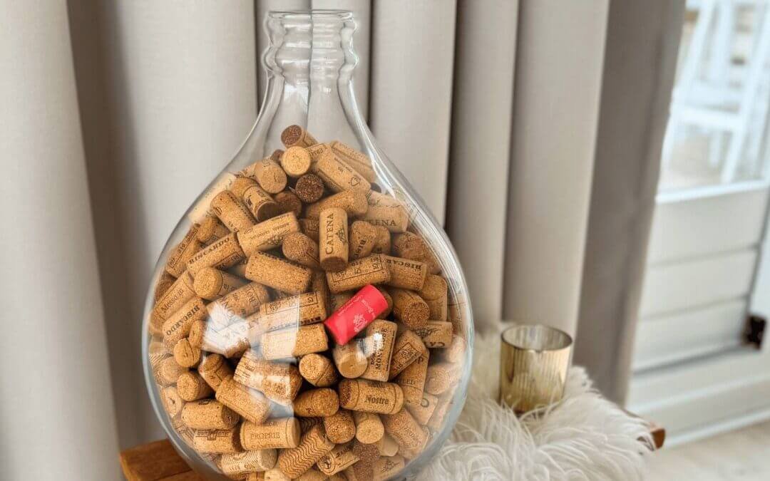 Poging 2 Stoppen met Drinken: week 1