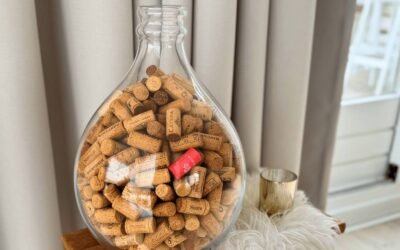 Poging 2 Stoppen met Drinken: week 1