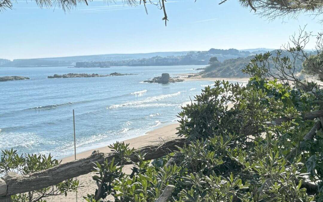 Stoppen met drinken dag 24