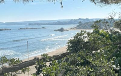 Stoppen met drinken dag 24