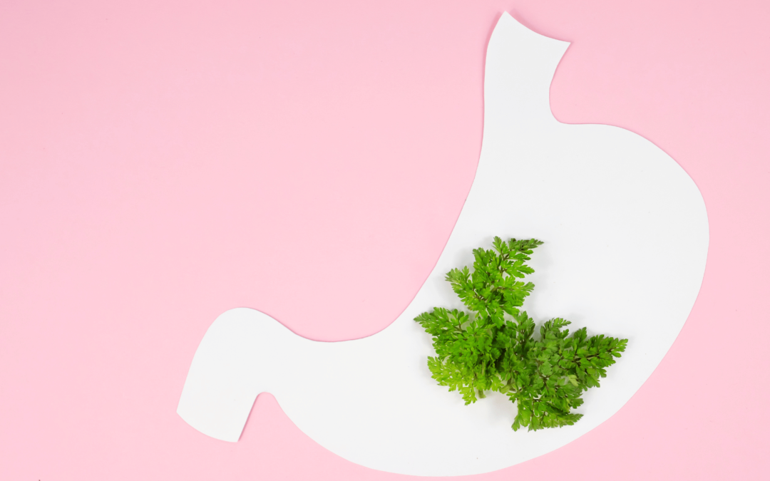 De Nieuwe Klachtenclub : Rookvrij, maar niet Maag-vrij | Stoppen met roken