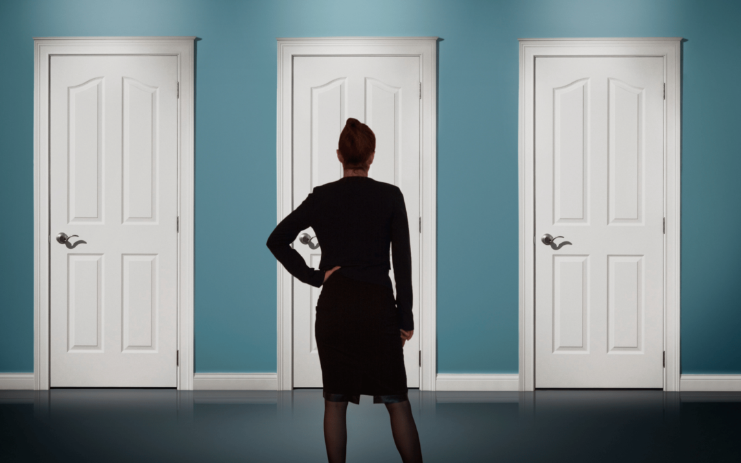 Stoppen met Drinken: De Onzichtbare Kater