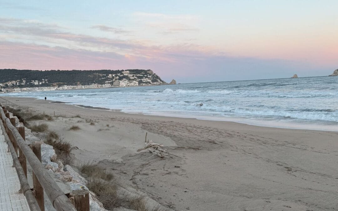 Stoppen met Drinken en Antidepressiva