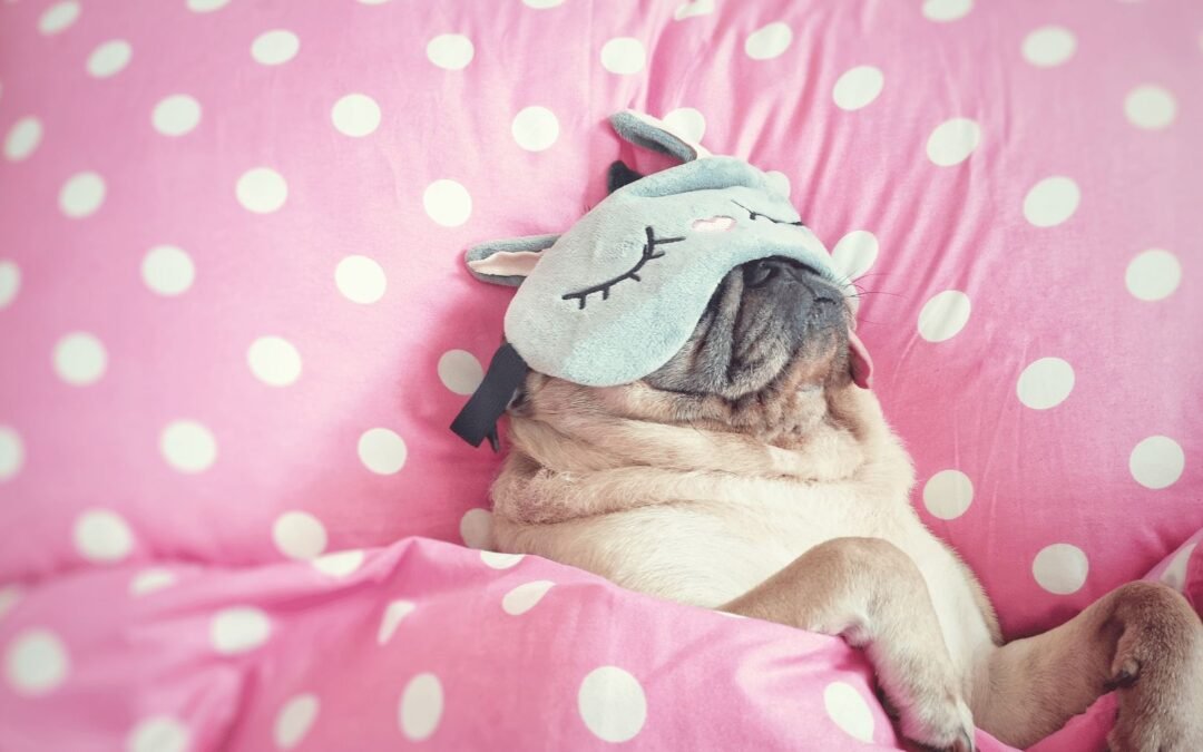 Stoppen met drinken dag 7 en 8