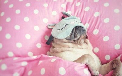 Stoppen met drinken dag 7 en 8