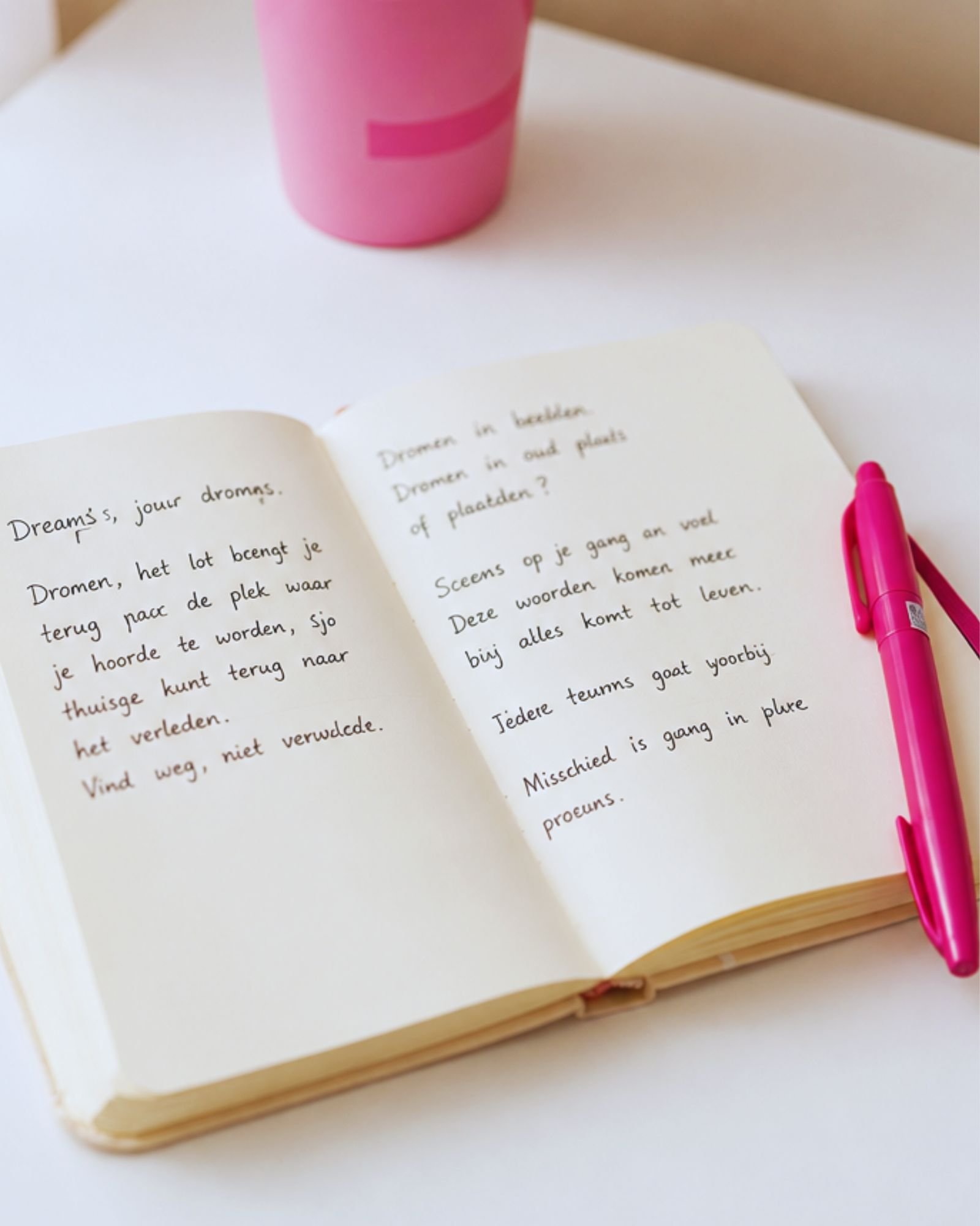 reis met dromen en doelen in sissy journals
